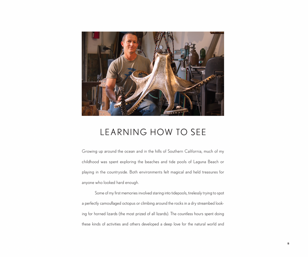 A Natural Eye   The Sculptural Works of Casey Parlette
