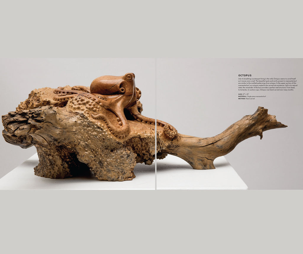 A Natural Eye   The Sculptural Works of Casey Parlette